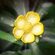 Image:Buttercup Petals In Game.Png